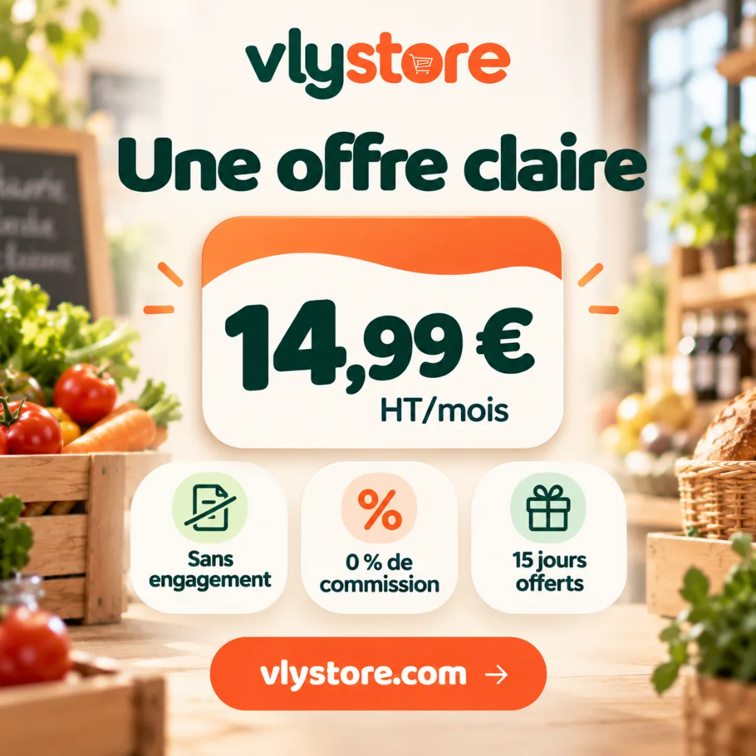 Vlystore, une offre claire à 14,99 € HT par mois